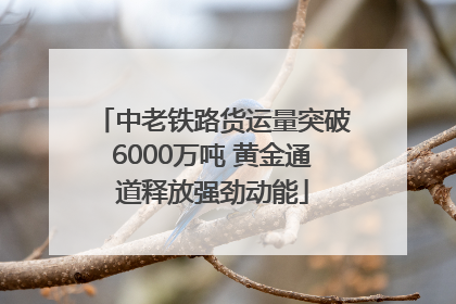 中老铁路货运量突破6000万吨 黄金通道释放强劲动能