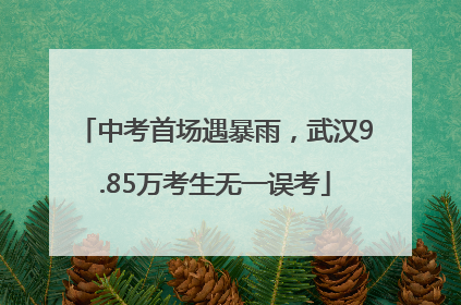 中考首场遇暴雨，武汉9.85万考生无一误考