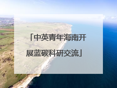 中英青年海南开展蓝碳科研交流