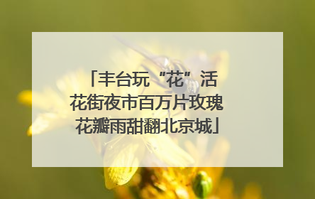 丰台玩“花”活 花街夜市百万片玫瑰花瓣雨甜翻北京城