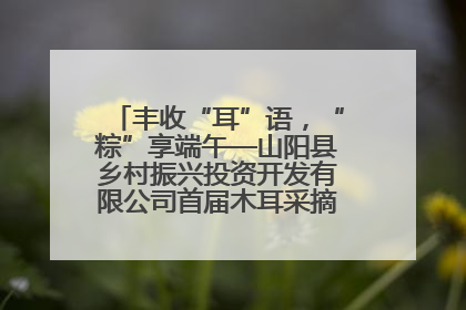 丰收“耳”语，“粽”享端午—山阳县乡村振兴投资开发有限公司首届木耳采摘活动盛大启幕