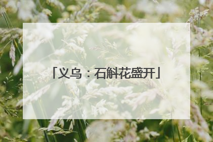 义乌：石斛花盛开