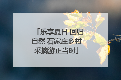 乐享夏日 回归自然 石家庄乡村采摘游正当时