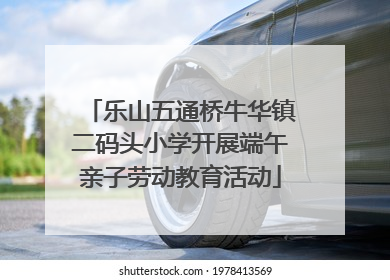 乐山五通桥牛华镇二码头小学开展端午亲子劳动教育活动
