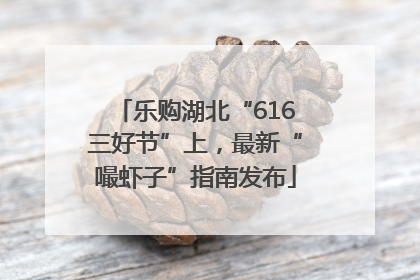 乐购湖北“616三好节”上，最新“嘬虾子”指南发布