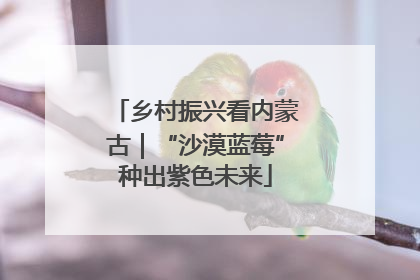 乡村振兴看内蒙古｜“沙漠蓝莓”种出紫色未来