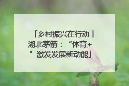 乡村振兴在行动丨湖北茅箭：“体育+”激发发展新动能