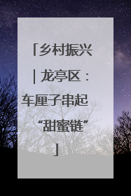 乡村振兴｜龙亭区：车厘子串起“甜蜜链”
