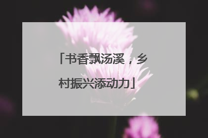 书香飘汤溪，乡村振兴添动力