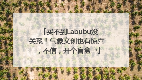 买不到Labubu没关系！气象文创也有惊喜，不信，开个盲盒→