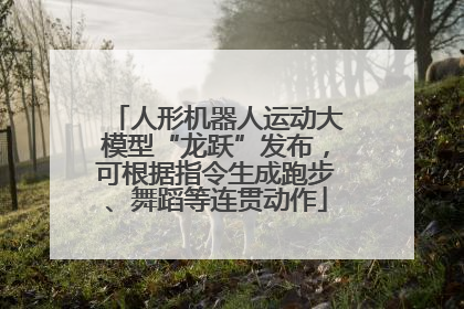 人形机器人运动大模型“龙跃”发布，可根据指令生成跑步、舞蹈等连贯动作