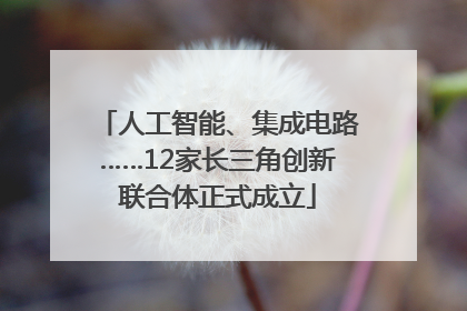 人工智能、集成电路……12家长三角创新联合体正式成立
