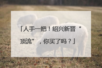 人手一把！绍兴新晋“顶流”，你买了吗？