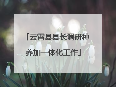 云霄县县长调研种养加一体化工作