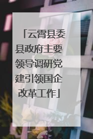 云霄县委县政府主要领导调研党建引领国企改革工作