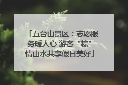 五台山景区：志愿服务暖人心 游客“粽”情山水共享假日美好