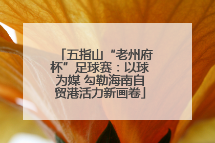 五指山“老州府杯”足球赛：以球为媒 勾勒海南自贸港活力新画卷