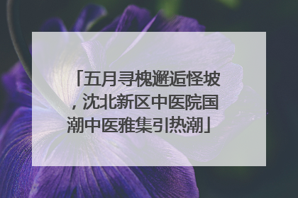 五月寻槐邂逅怪坡，沈北新区中医院国潮中医雅集引热潮
