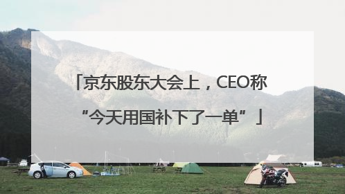 京东股东大会上，CEO称“今天用国补下了一单”