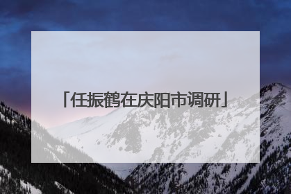 任振鹤在庆阳市调研