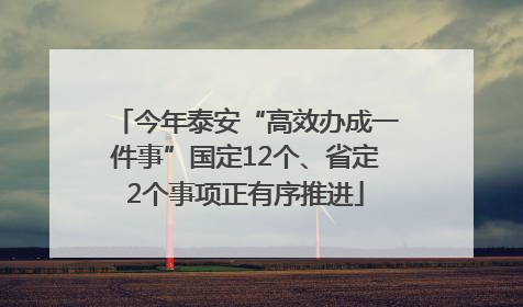 今年泰安“高效办成一件事”国定12个、省定2个事项正有序推进