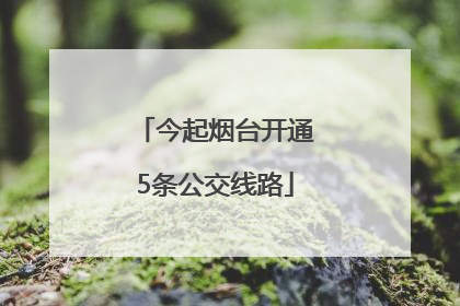 今起烟台开通5条公交线路