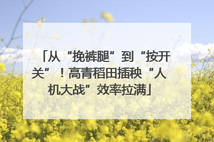 从“挽裤腿”到“按开关”！高青稻田插秧“人机大战”效率拉满