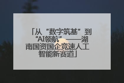 从“数字筑基”到“AI领航”——湖南国资国企竞速人工智能新赛道