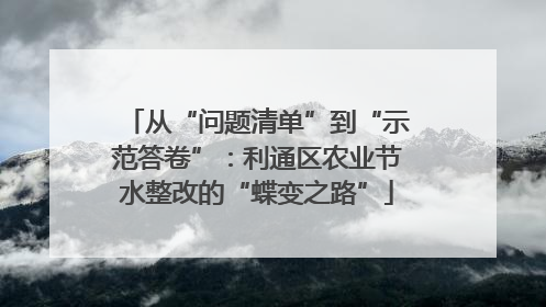 从“问题清单”到“示范答卷”：利通区农业节水整改的“蝶变之路”