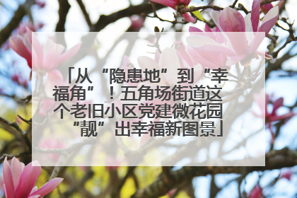 从“隐患地”到“幸福角”！五角场街道这个老旧小区党建微花园“靓”出幸福新图景