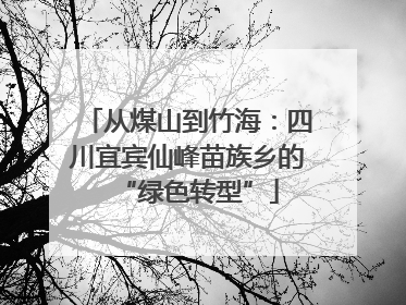 从煤山到竹海：四川宜宾仙峰苗族乡的“绿色转型”