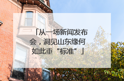 从一场新闻发布会，洞见山东缘何如此重“标准”