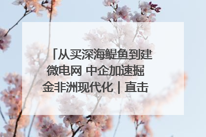 从买深海鳀鱼到建微电网 中企加速掘金非洲现代化｜直击中非经贸博览会