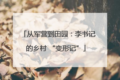 从军营到田园：李书记的乡村 “变形记”