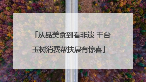 从品美食到看非遗 丰台玉树消费帮扶展有惊喜