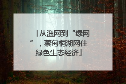 从渔网到“绿网”，蔡甸桐湖网住绿色生态经济