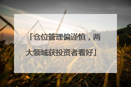 仓位管理偏谨慎，两大领域获投资者看好