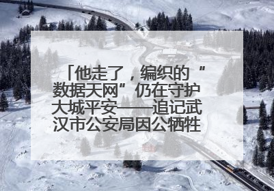 他走了，编织的“数据天网”仍在守护大城平安——追记武汉市公安局因公牺牲民警万松