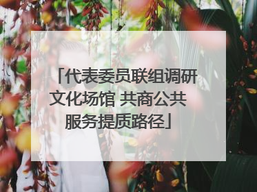 代表委员联组调研文化场馆 共商公共服务提质路径