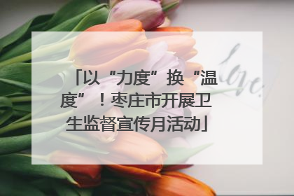 以“力度”换“温度”！枣庄市开展卫生监督宣传月活动