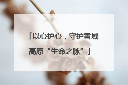 以心护心，守护雪域高原“生命之脉”