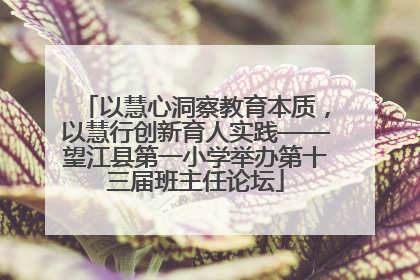 以慧心洞察教育本质，以慧行创新育人实践——望江县第一小学举办第十三届班主任论坛
