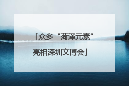 众多“菏泽元素”亮相深圳文博会