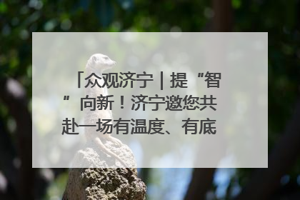 众观济宁｜提“智”向新！济宁邀您共赴一场有温度、有底气的“智造”之约