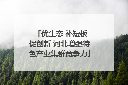 优生态 补短板 促创新 河北增强特色产业集群竞争力