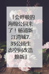 会呼吸的海绵公园来了！杨浦新江湾城7.35公顷生态空间改造焕新
