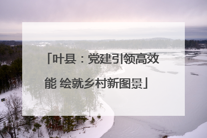 叶县：党建引领高效能 绘就乡村新图景