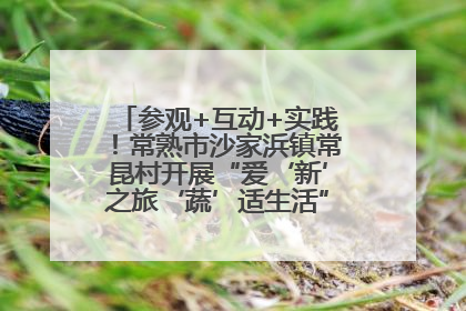 参观+互动+实践！常熟市沙家浜镇常昆村开展“爱‘新’之旅‘蔬’适生活”参观学习活动