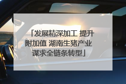 发展精深加工 提升附加值 湖南生猪产业谋求全链条转型