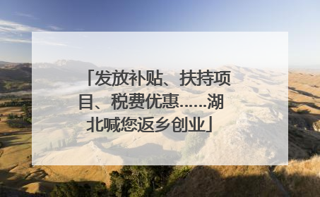 发放补贴、扶持项目、税费优惠……湖北喊您返乡创业
